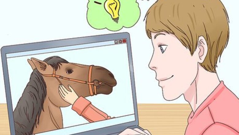 How to Become an Animal Behaviorist