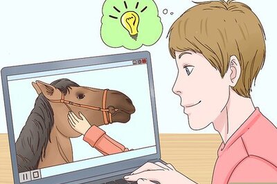 How to Become an Animal Behaviorist