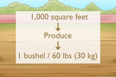 How to Plant Wheat