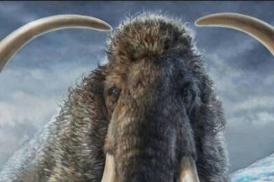 Did Pollen Allergies Cause Extinction Of Woolly Mammoths? New Study Suggests So