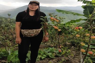 Fruits of Labour: Leaving Diamond Trade, Woman Begins Apple Revolution in Manipur