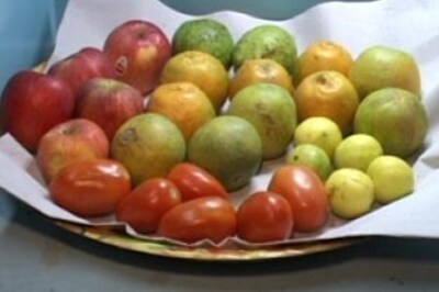 10 health resolutions for 2009