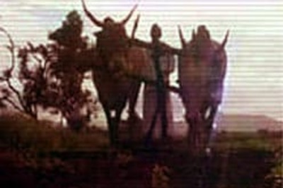 Four Vidarbha farmers commit suicide