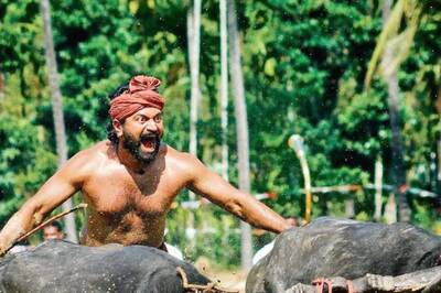 Rishab Shetty Failed The First Attempt At Kambala In Kantara; Know More