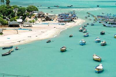 SUNDAY SPECIAL: To Tap into Offshore Wind Energy, Govt to Rope in Global Firms for Gulf of Mannar