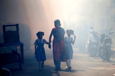 At least 289 Chikungunya Cases Recorded in Patna, Even as State Tries to Grapple With Dengue Cases