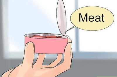 How to Care for Himalayan Cats