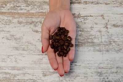 How to Make Perfect Coffee