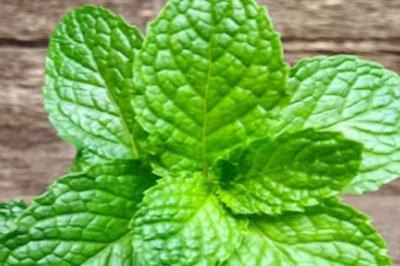 Mint To Basil Leaves, 3 Cooling Herbs To Add To Your Summer Diet