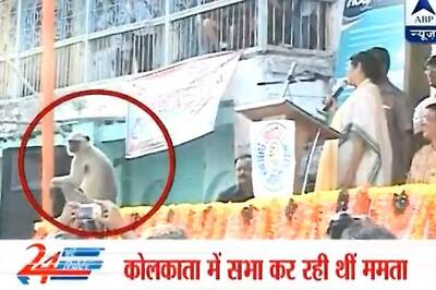 Mamata Banerjee chants mantra to shoo away monkey