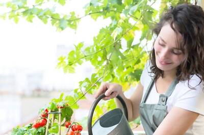 Say Goodbye to Food Adulteration: Grow Fresh Veggies and Fruits on Your Balcony