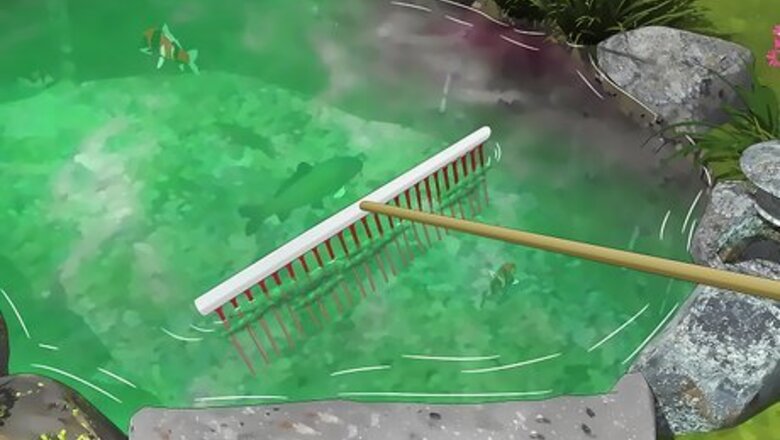 How to Remove Algae from a Pond without Harming Fish