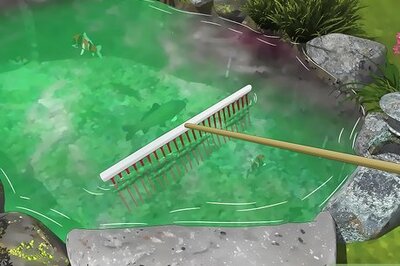How to Remove Algae from a Pond without Harming Fish