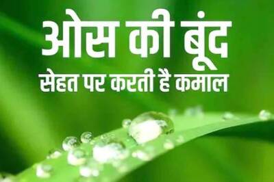 5 Health Benefits of Morning Dew Nobody Told You About