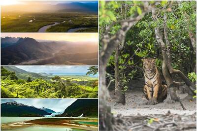 World Environment Day 2021: A Look at some of the World's Largest Forests and How They're Rapidly Vanishing