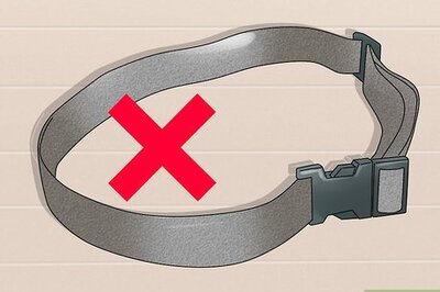 How to Groom a Greater Swiss Mountain Dog