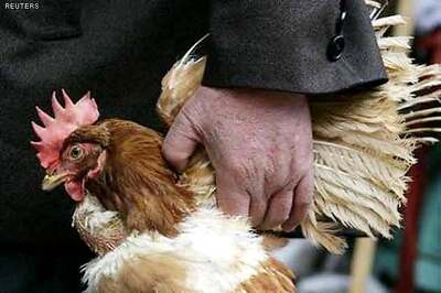 China's H7N9 bird flu spreads in Beijing, second case reported