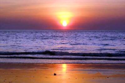 Revisiting the Onam myth