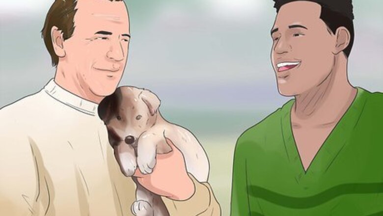 How to Socialize Your Dog