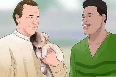 How to Socialize Your Dog