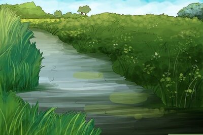 How to Collect Water