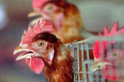 Third bird flu case reported in Pak