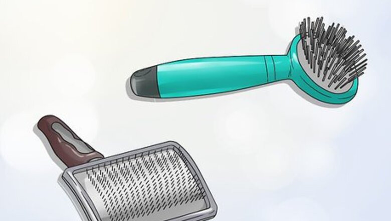 How to Groom a Thin Furred Dog