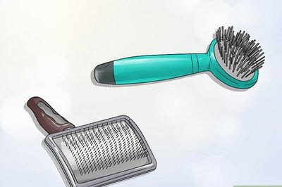 How to Groom a Thin Furred Dog