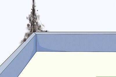 How to Get Rid of Black Mold Safely & Effectively