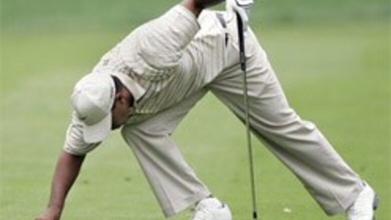 Donald to face Tiger in PGA final