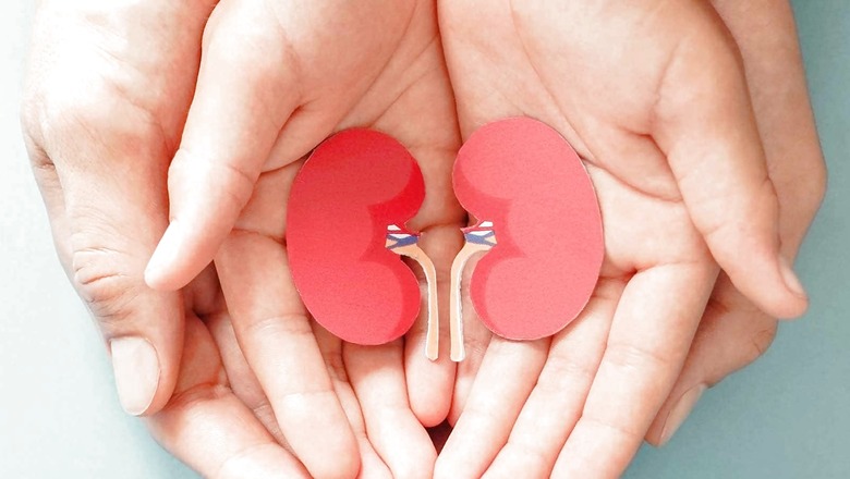 World Kidney Day 2023: All You Need To Know About Kidney Deterioration