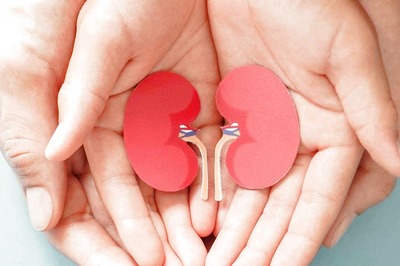 World Kidney Day 2023: All You Need To Know About Kidney Deterioration