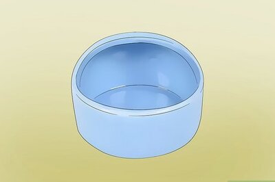 How to Feed a Gerbil