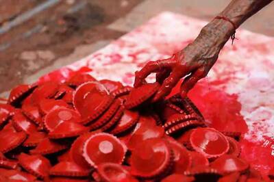 Tamil Nadu Villages Celebrate Diwali Without Firecrackers to Avoid Scaring Birds, Bats