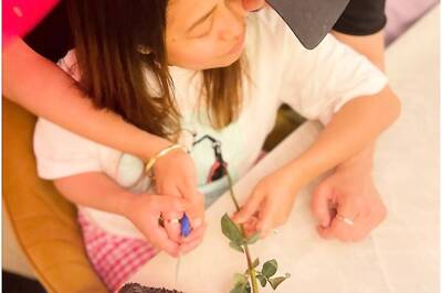 Valentine's Day: Rohanpreet Singh Kisses Neha Kakkar, Surprises Her With Chocolate Cake; Pics