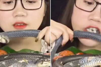 Horrifying Clip Of A South Korean Girl Eating Snake Alive Will Disgust You