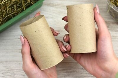 How to Make a Guinea Pig Toy