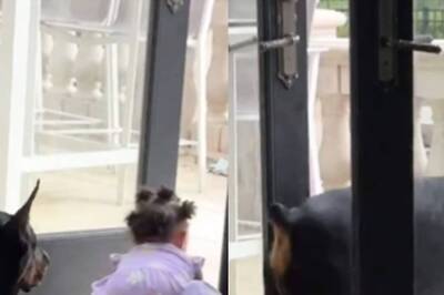 Watch: Protective Pet Dog Seems 'Disappointed' With Mother As Toddler Crawls Away