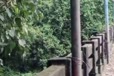 Why Kerala’s Poovanpara Bridge Has Become A Major Suicide Point