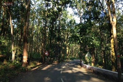 Activists voice concern over shrinking forest cover