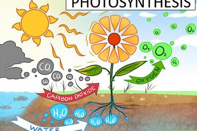 How to Study the Chemistry of Water