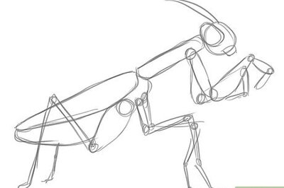 How to Draw a Praying Mantis