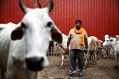 Fearing Gau Rakshaks, People Opting to Sell Their Cattle Online