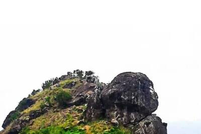 Explore Ranipuram And Trek Amid Lush Greenery And Wildlife In Kasaragod