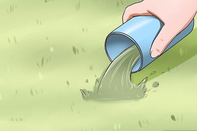 How to Keep Pet Urine from Damaging Lawn