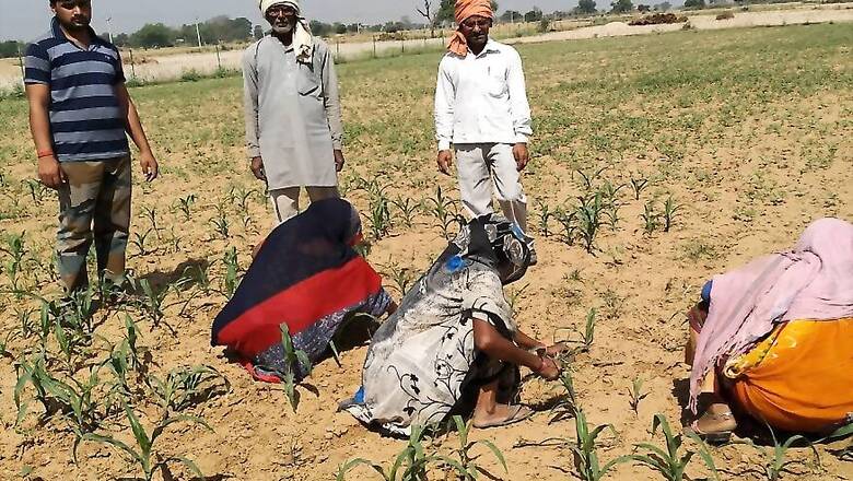 'Our Land is of No Use’: As Economy Shrinks, Degradation of Farms is a Problem India Can’t Ignore Anymore