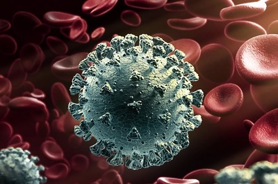 West Nile Virus Cases Are Rising: Symptoms And Prevention