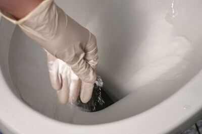 How to Get Rid of a Toilet Bowl Ring