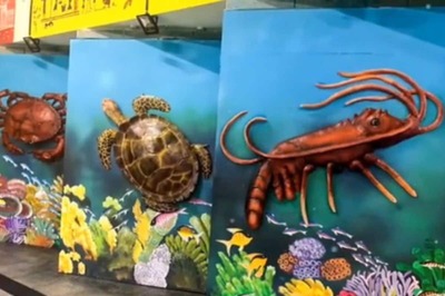 Railways Installs Its First 12-Feet-Long Freshwater Tunnel Aquarium at Bengaluru Station