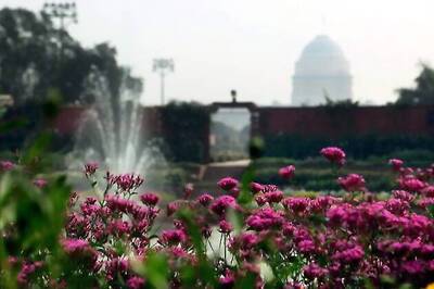 Rashtrapati Bhawan Mughal Gardens a hit on Youtube